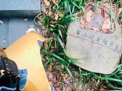 -杭州半山国家森林公园