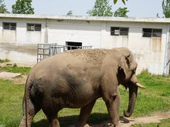 -西安秦岭野生动物园
