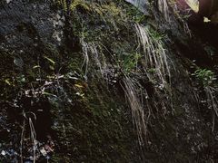 -秦岭终南山世界地质公园翠华山景区