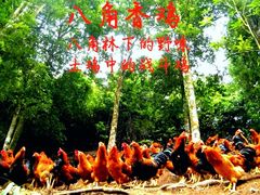-亚一荔枝柴烧鸡(仙葫店)