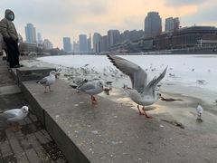 -海河游船(古文化街码头)