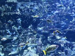 -香港海洋公园