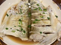 清蒸白鱼-湖光月色饭店(中庙店)