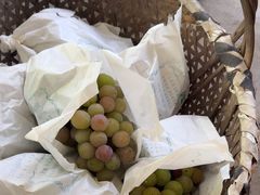 -马陆小张葡萄园农家乐