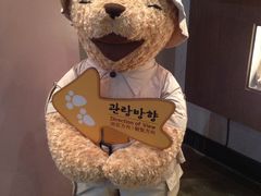 -济州岛泰迪熊博物馆