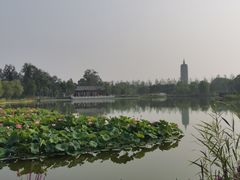 -西海子公园