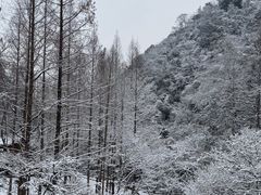 -天明山温泉大酒店