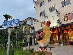 -头上红煨盐鸡·非遗院子餐厅