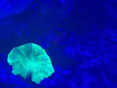 -上和臻品中国菜(花园街店)