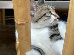 -铜瓢江湖兔火锅(水碾河社区店)