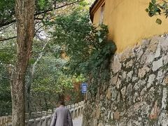 -灵岩山风景区