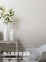 点击看大图 -iSpa