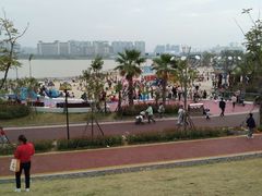 -九龙湖公园