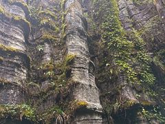 -梭布垭石林景区