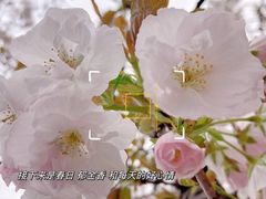 -东湖生态旅游风景区