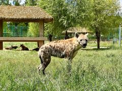 -鄂尔多斯野生动物园