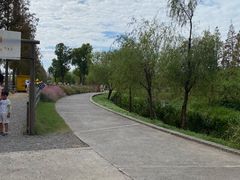 -前小桔亲子创意农场·草莓采摘·露营烧烤