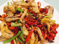 干煸鱿鱼须-陈傻子餐厅(世纪都会店)