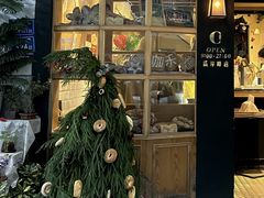 -溪岸路花鸟市场