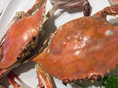 -赶海部落海鲜城(海阳路店)