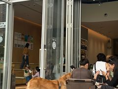 -SAANCI山池咖啡(海上世界文化艺术中心店)