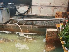 -鱼窝棚柴火铁锅炖(富山屯店)