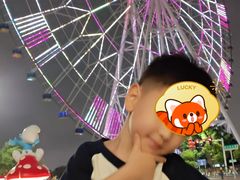 -南昌之星摩天轮