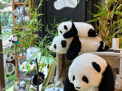 -轩客会(熊猫书店)