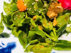 穿心莲-竹雨堂创意中国菜(裕华店)