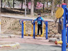 -大兴滨河森林公园