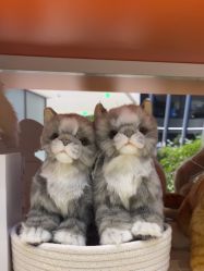 -IMON·HANSA潮玩玩偶毛绒玩具(通州万象汇店)