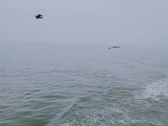 -海驴岛(荣成市)