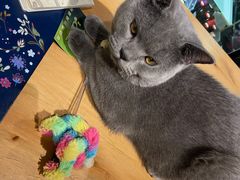 -么么咖啡(燕郊店)