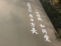 -潮粥荟·潮汕砂锅粥(朝阳大悦城店)