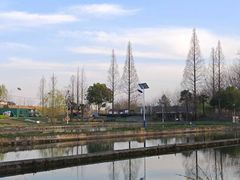 -合肥滨湖国家森林公园