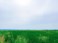 -敕勒川草原