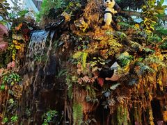 -正佳雨林生态植物园