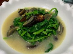 上汤豆苗-金米箩大酒店(五角场店)