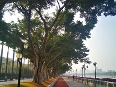 -二沙岛艺术公园