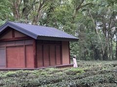 -美庐餐厅(中山陵店)