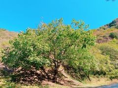 -北京山里寒舍度假酒店