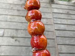 -前小桔亲子创意农场·草莓采摘·露营烧烤