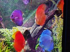 -上海海洋水族馆