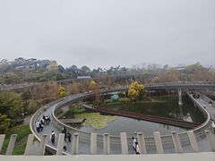 -福道