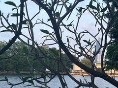 -东山湖公园