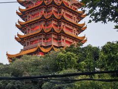 -黄鹤楼公园(黄鹤楼)