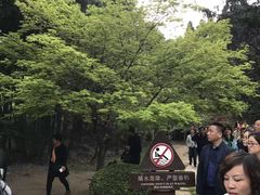 -庐山风景区花径公园