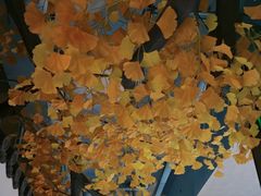 -食悦江南·淮扬菜·烤鸭(亚运村·惠新店)