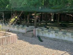 -南京金牛湖风景区