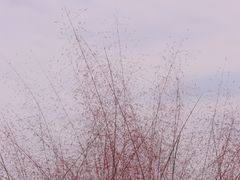 -映月湖中央公园